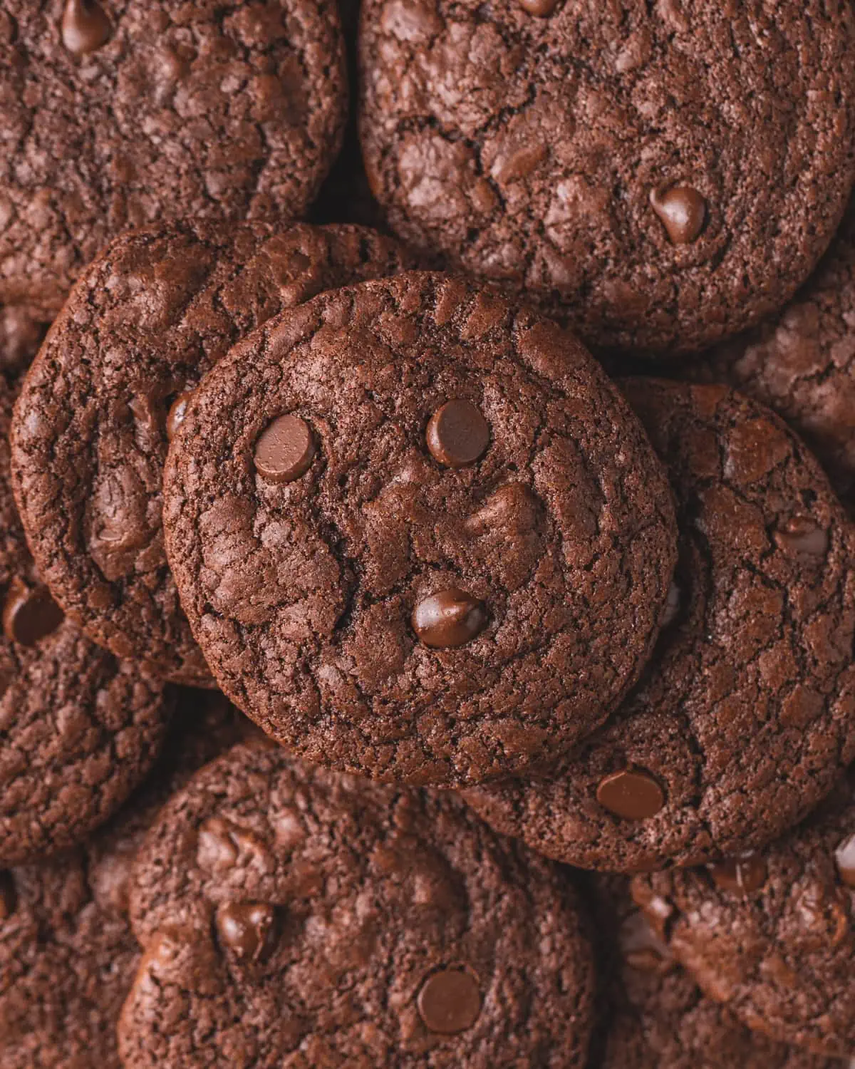 Gluten Free Double Chocolate Chip Cookies